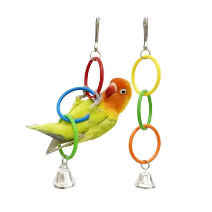 Colorful Ring Birds Use Gnawing Toy