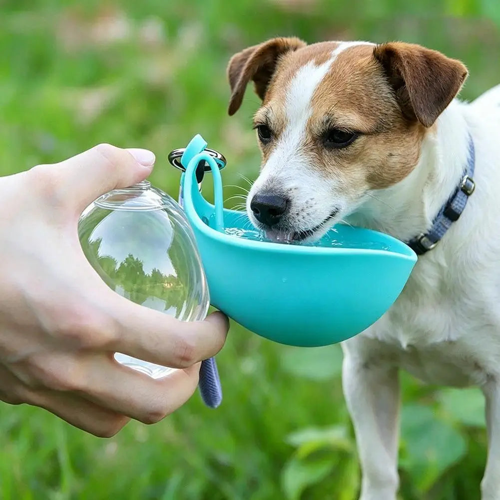 Pet Drinking Silicone Bowl