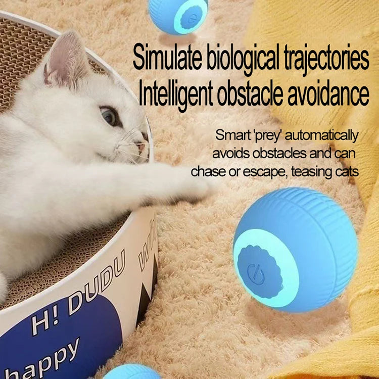 Automatic Indoor Cat Toy