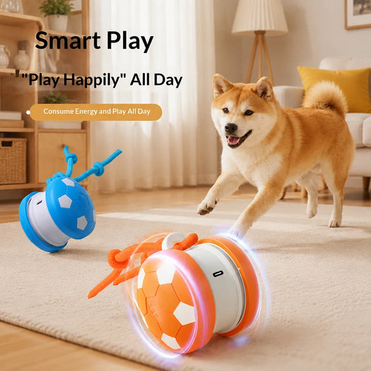 Dual-Wheel Spinning Electric ball