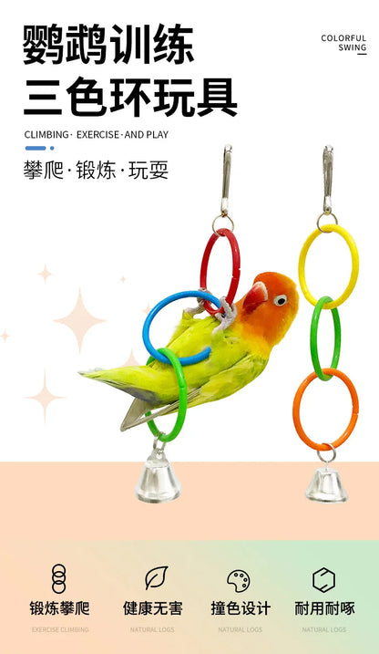 Colorful Ring Birds Use Gnawing Toy