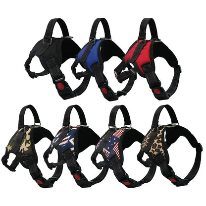 Large Dog Walk Out Harness