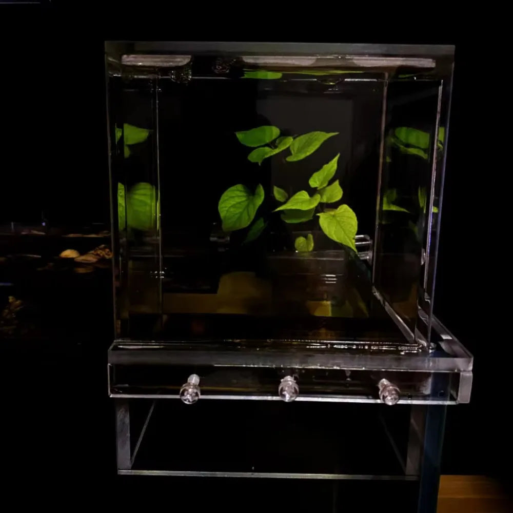 Landscaping Negative Pressure Fish Tank