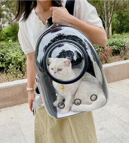 Cat Carrier
