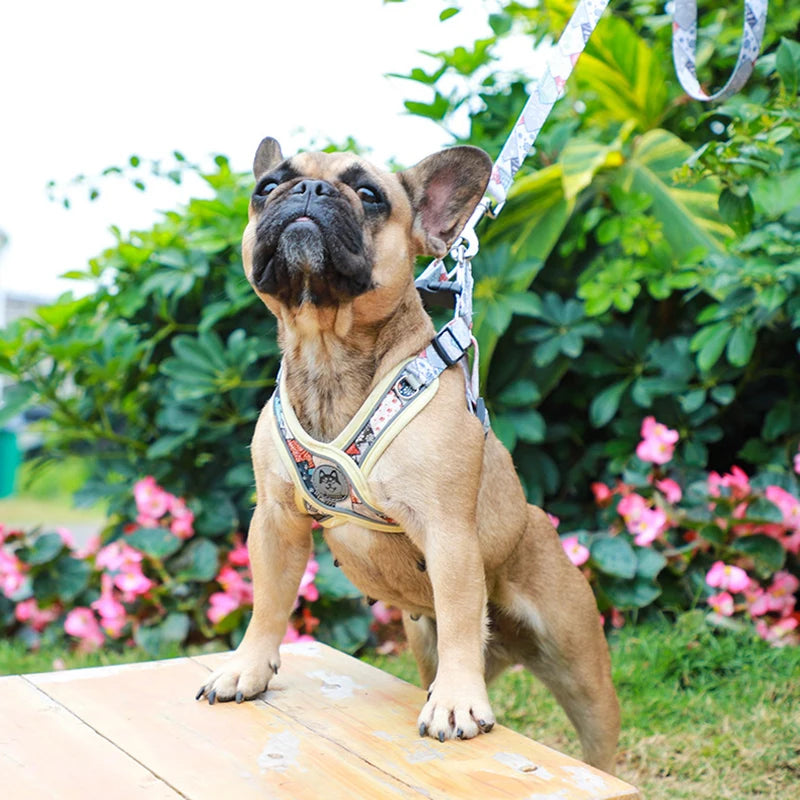 X-Shaped Harness and Leash Set
