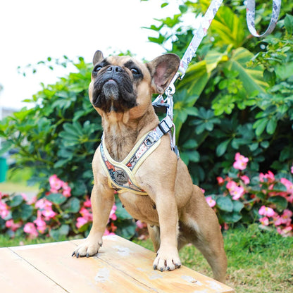 X-Shaped Harness and Leash Set