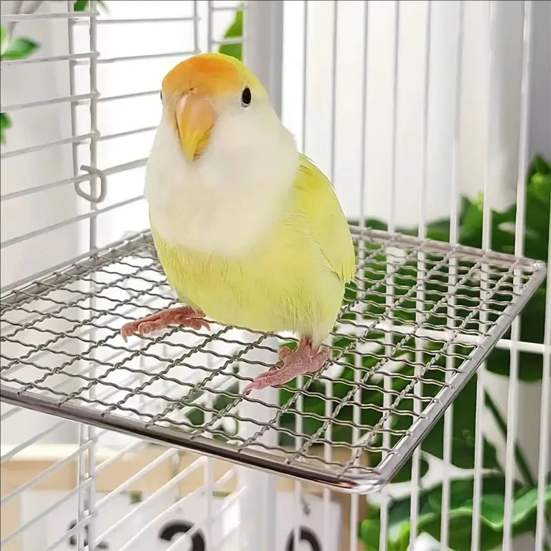 Versatile Stainless Steel Parrot Perch Toy