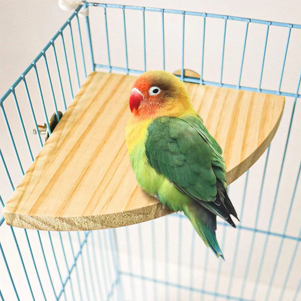 Fan-shaped Parrot Wooden Stand Rack