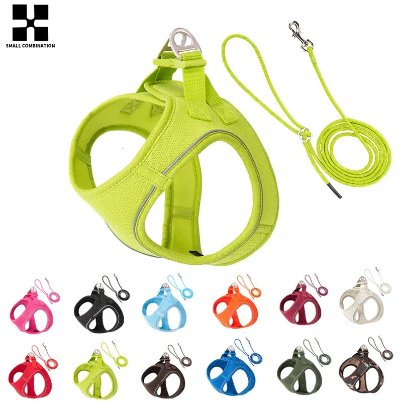Dog Harness Leash Set