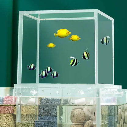 Landscaping Negative Pressure Fish Tank