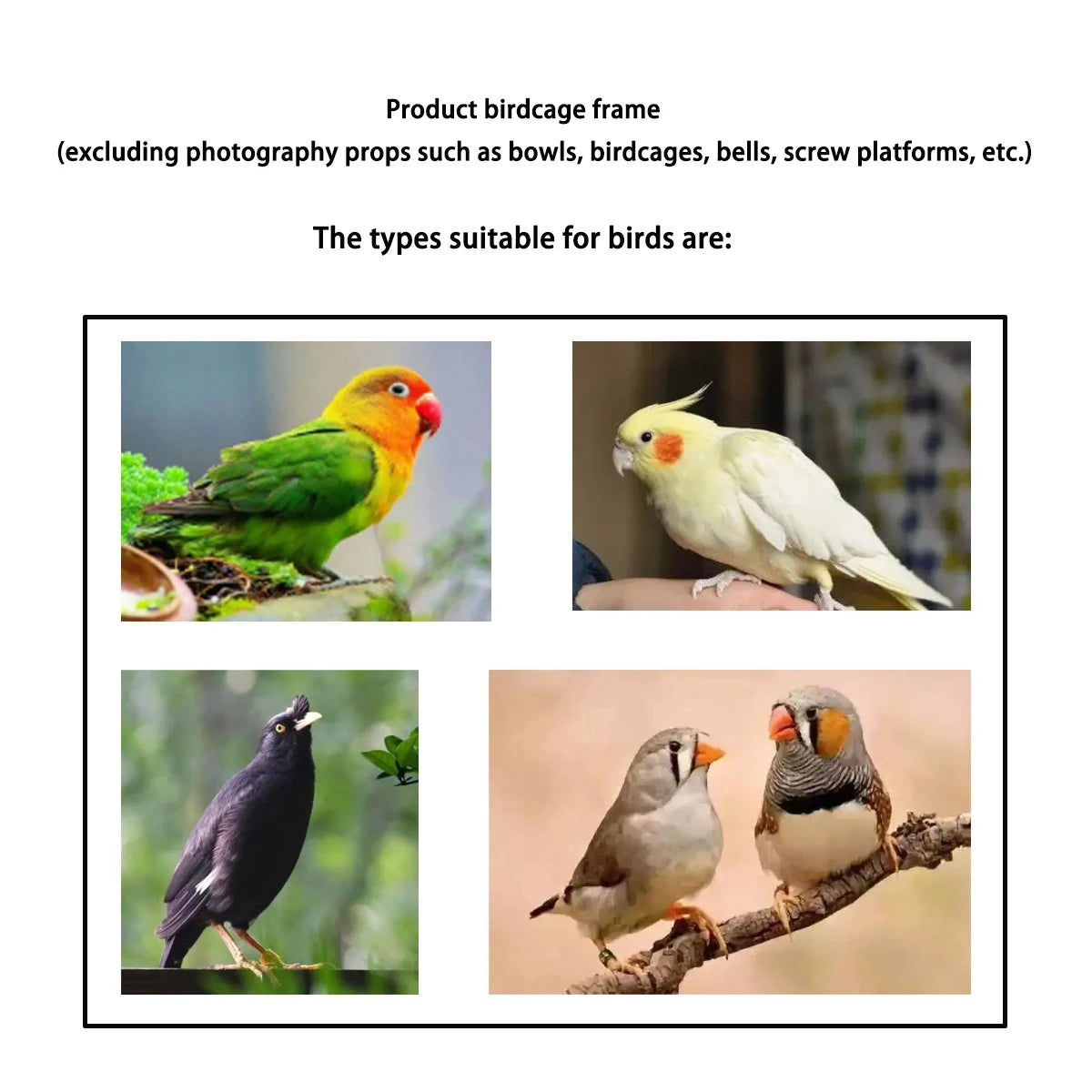 Large Bird Cage