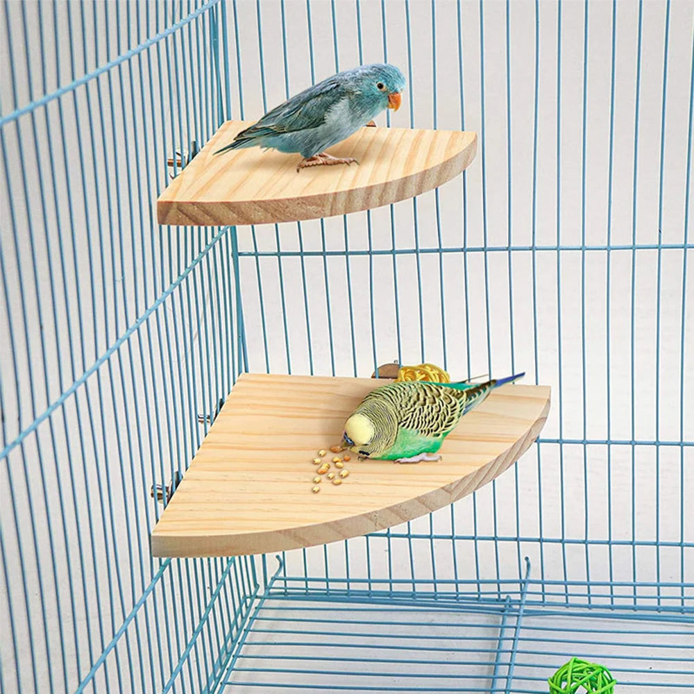 Fan-shaped Parrot Wooden Stand Rack