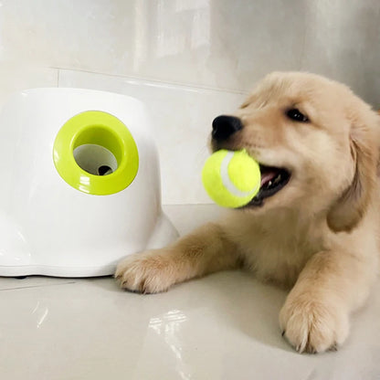 Dog Tennis Ball Launcher