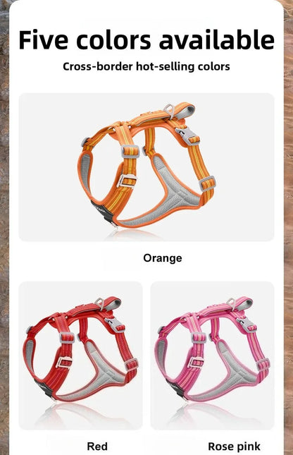 Dog Harness with Dual Handle