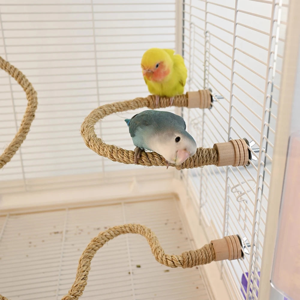 Bird Climbing Rope