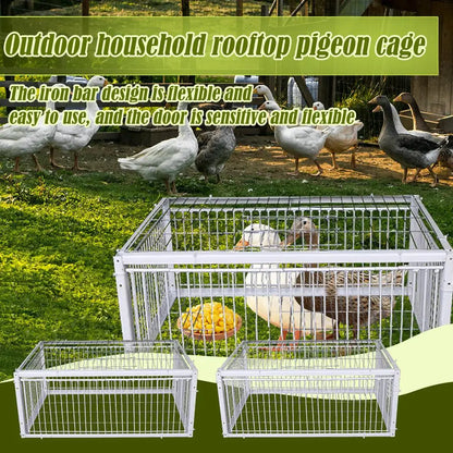 Auto Trap Bird Cage