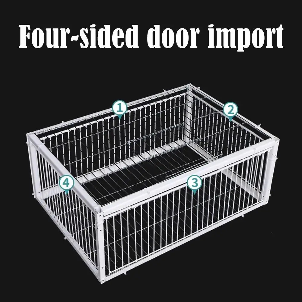 Auto Trap Bird Cage