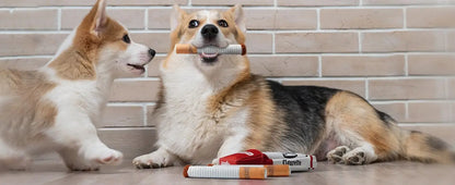 Funny Interactive Plush Dog Toys