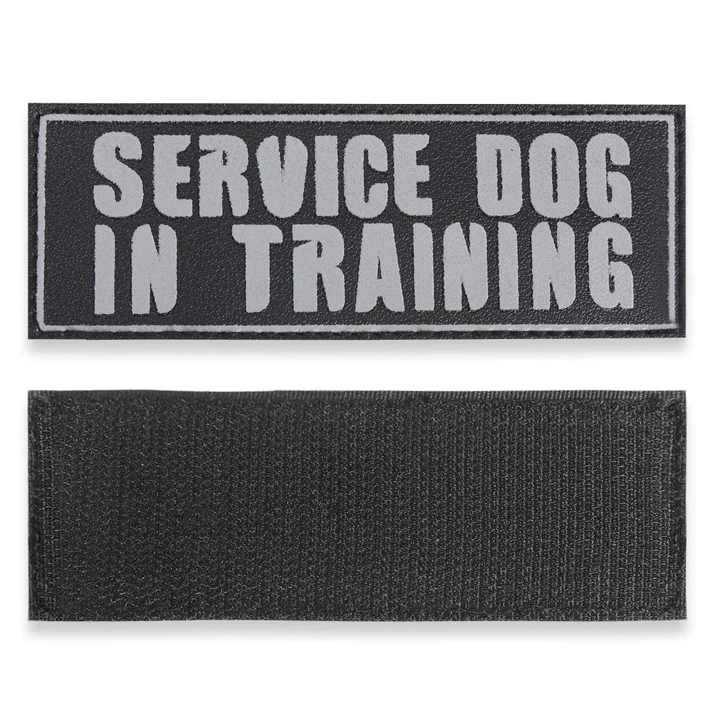 Harness And Collar For Medium Large Dogs