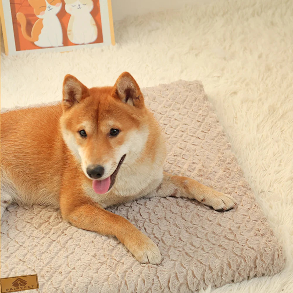 3D Foam Pet Bed With Removable Washable