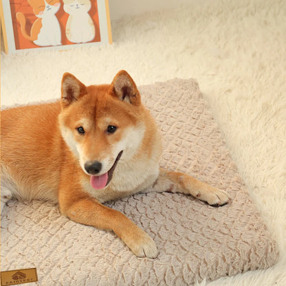3D Foam Pet Bed With Removable Washable