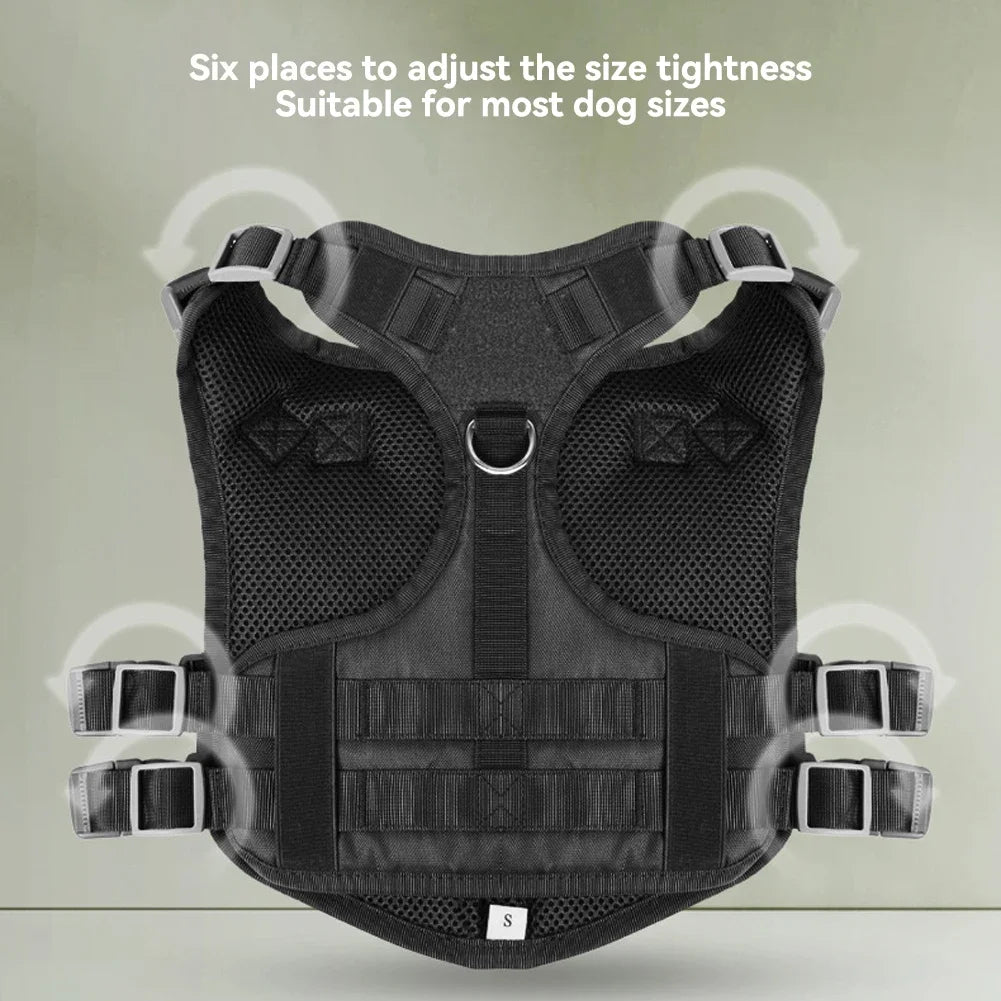 Harness And Collar For Medium Large Dogs
