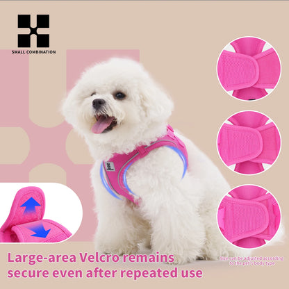 Dog Harness Leash Set