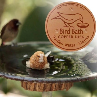 Bird Bath Copper Disk Water Fountain