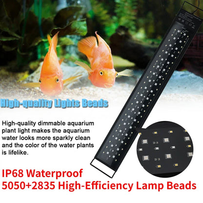 24/7 Full Spectrum Lighting