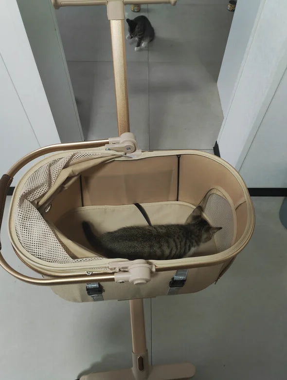 3 in 1 Pet Stroller for 20LBS Dogs