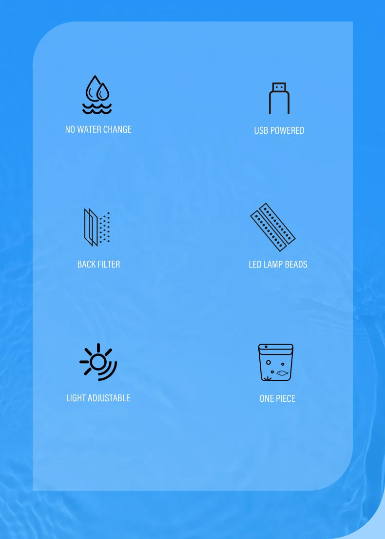 Mini Fish tank