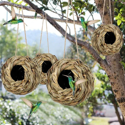 Egg Cage Bird House
