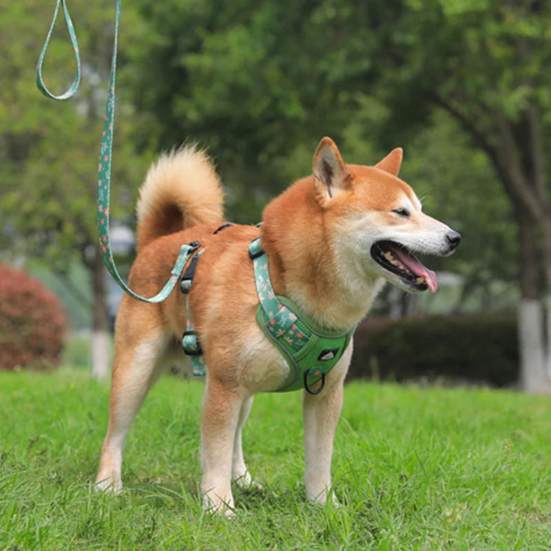 Big Dog Harness Reflective