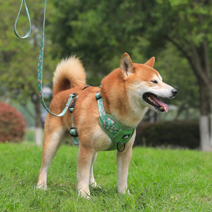 Big Dog Harness Reflective
