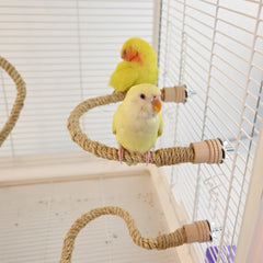 1 PC Bird Climbing Rope Bendable Chew-Proof Perch with Secure Ends Bird Toy for Pet Parrots Mental Stimulation & Cage Enrichment