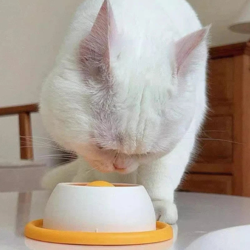 Cat Food Bowl