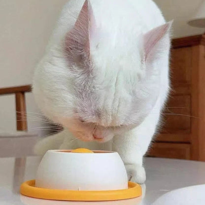 Cat Food Bowl