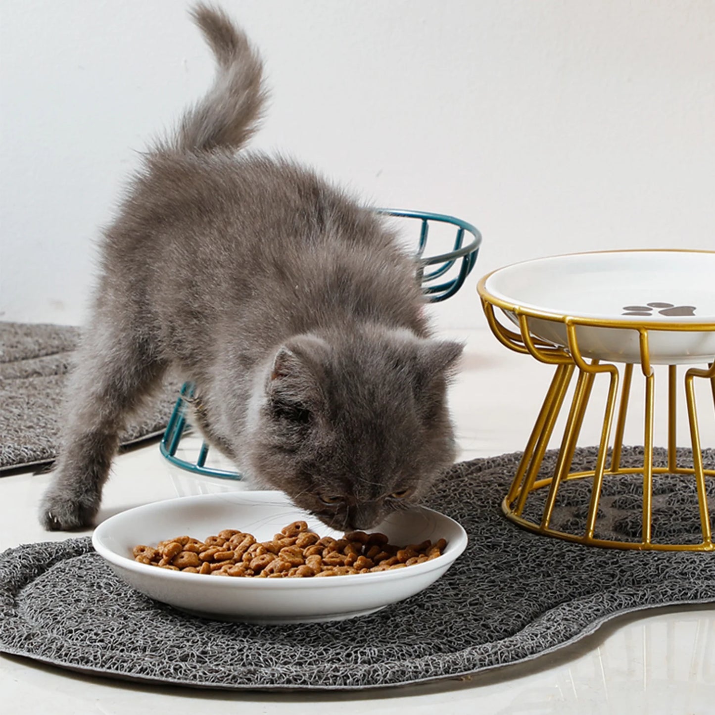 Food Water Bowls with Rack for Cats