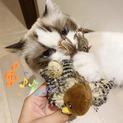 Washable Interactive Cat Toys