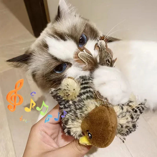Washable Interactive Cat Toys