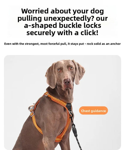 Dog Harness with Dual Handle