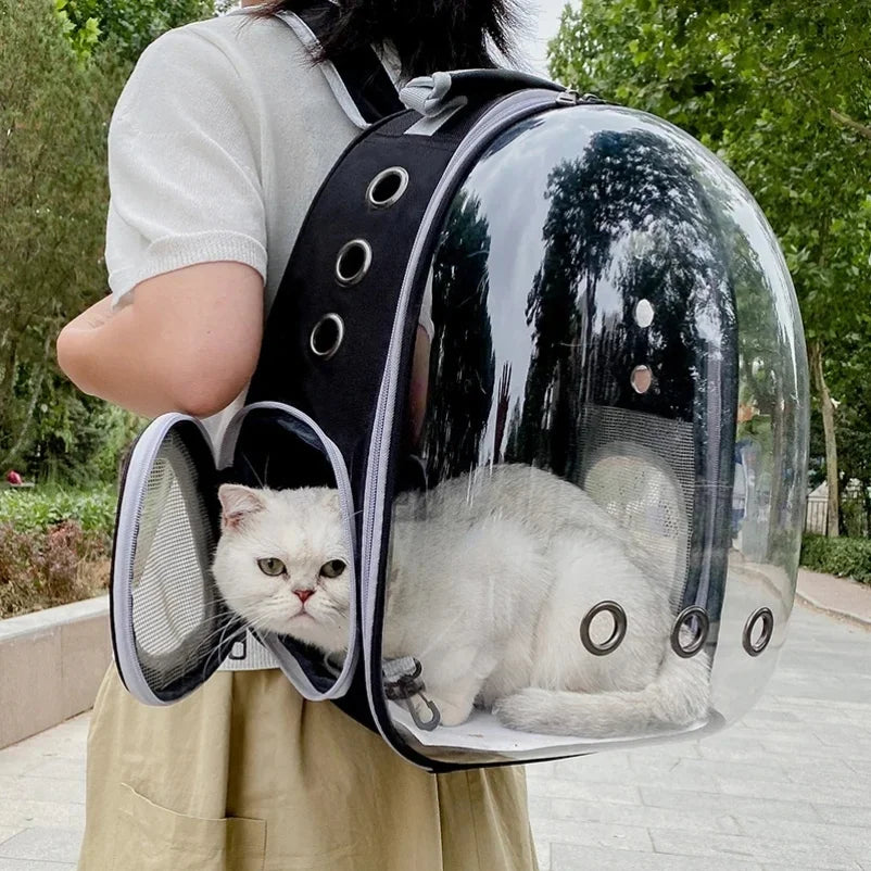 Cat Carrier