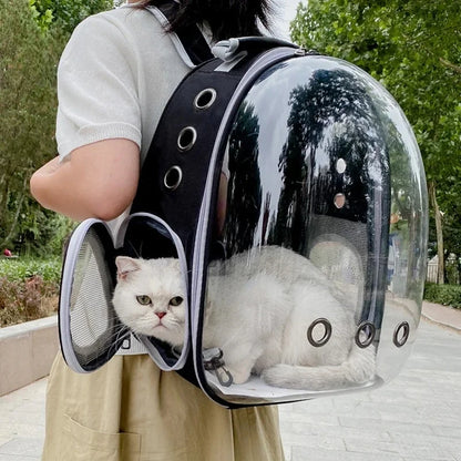 Cat Carrier