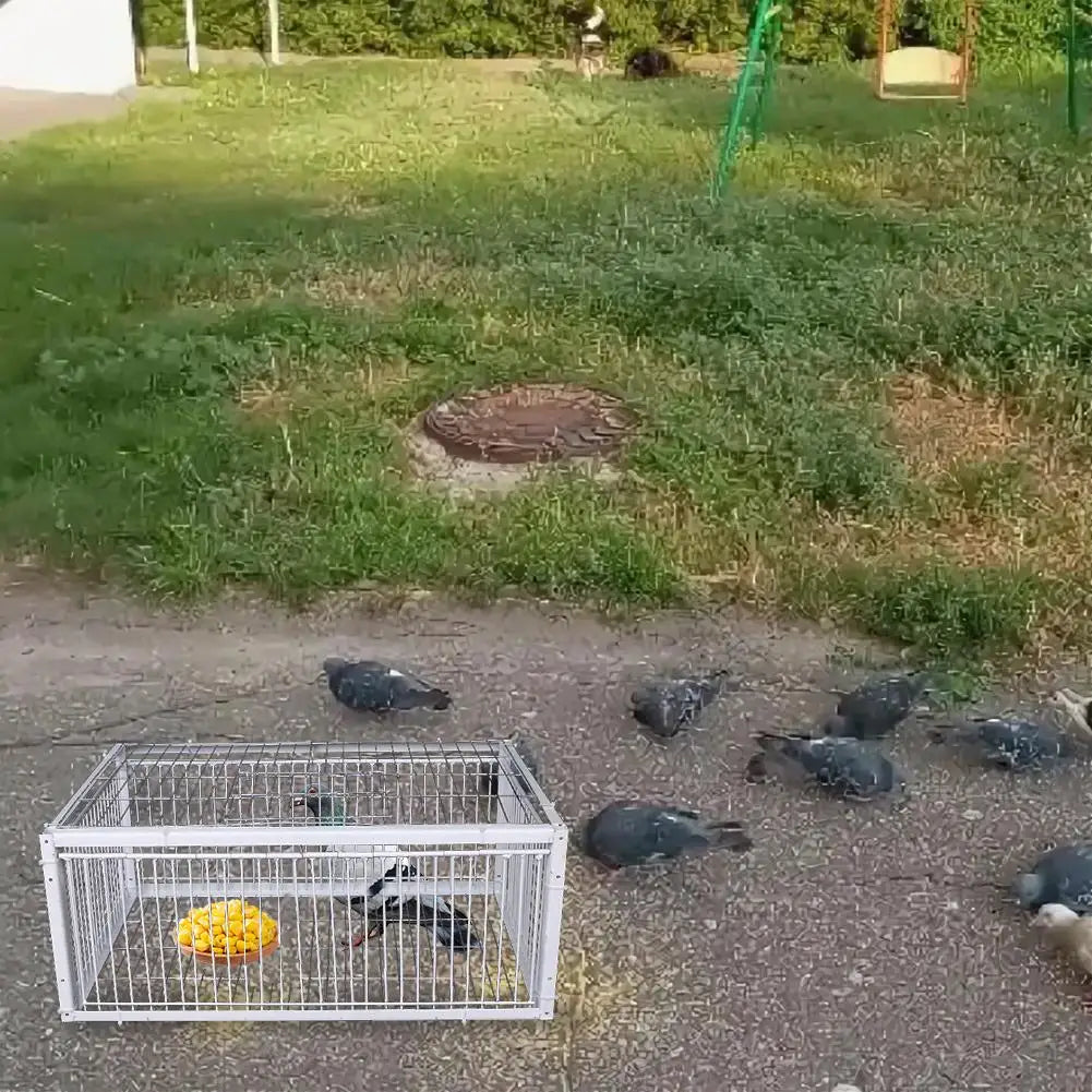 Auto Trap Bird Cage