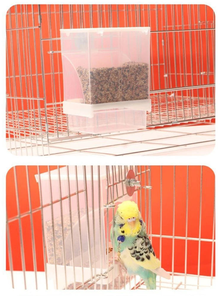 Anti-Spill Transparent Bird Food Box