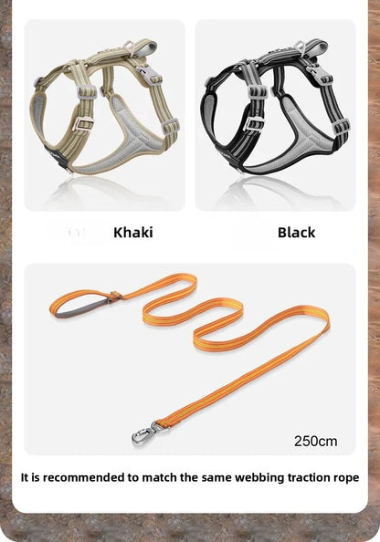 Dog Harness with Dual Handle