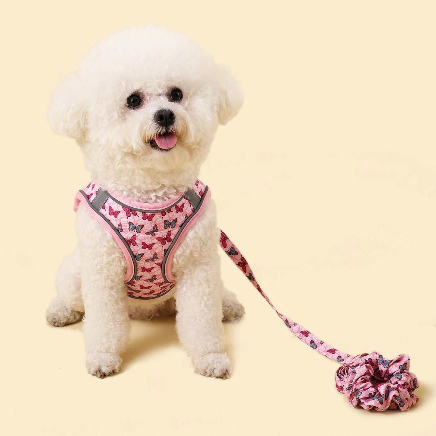 Traction Bracelet Small Dog Harness set