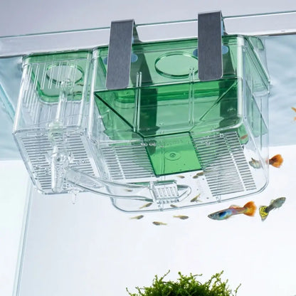Transparent Aquarium Breeder Box