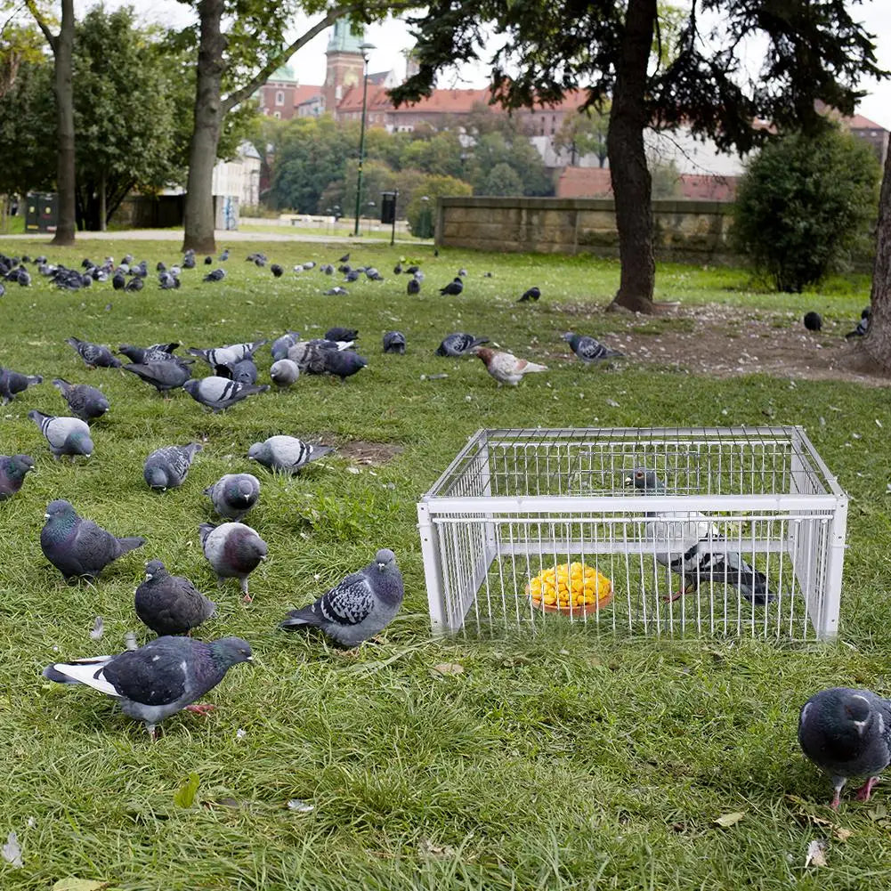Auto Trap Bird Cage