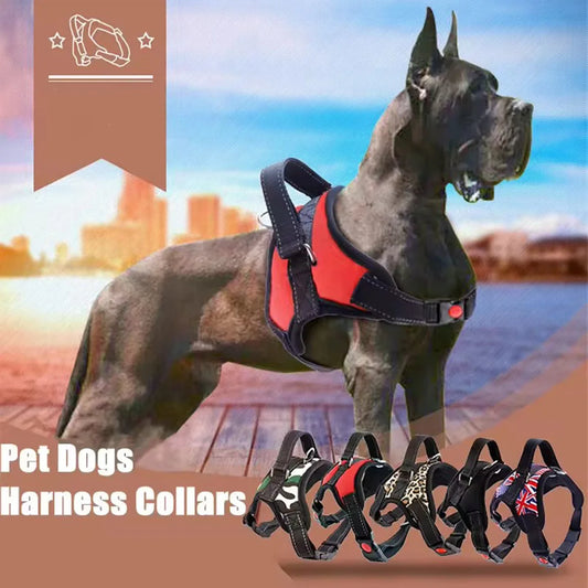 Large Dog Walk Out Harness